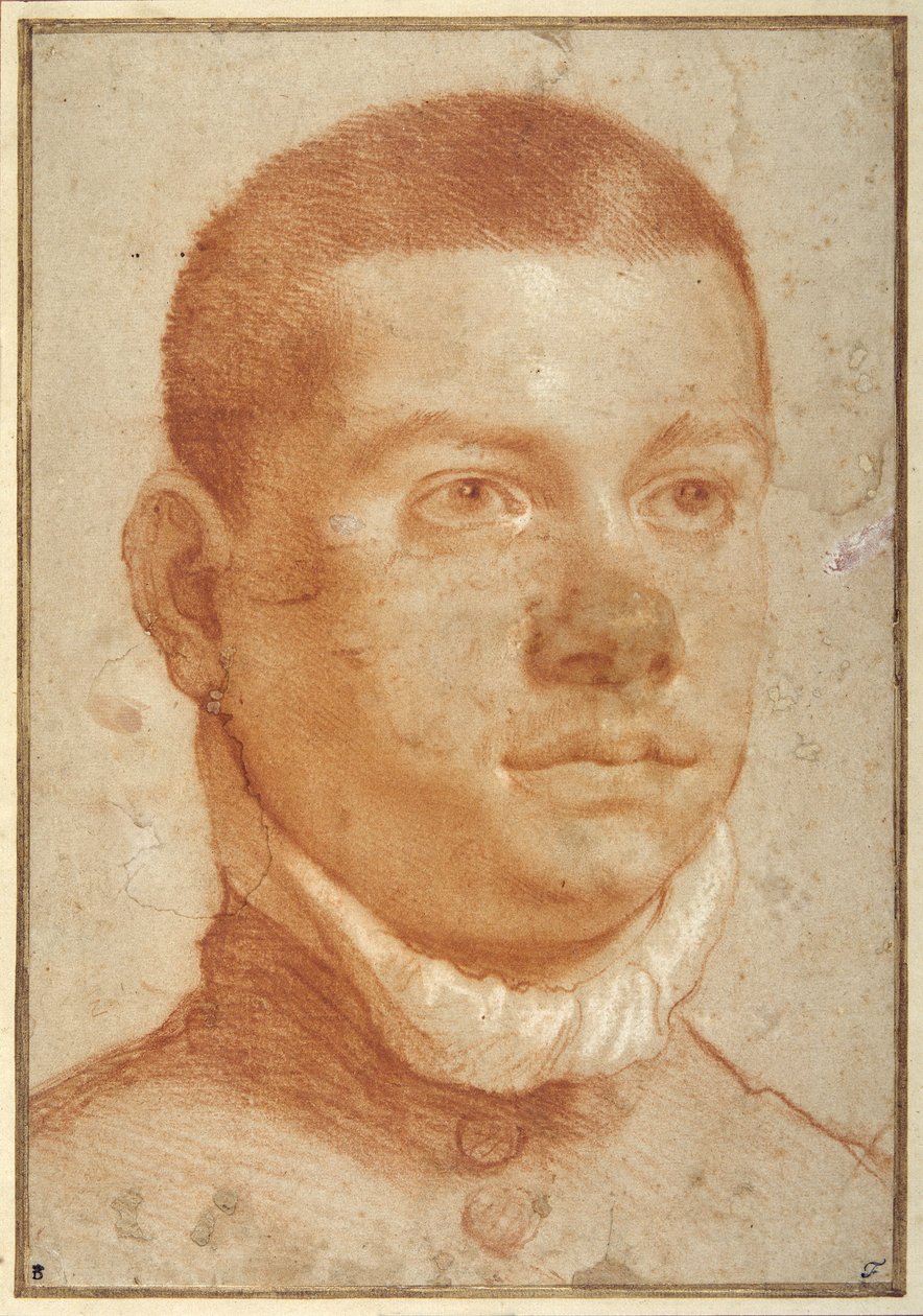 Portrait-head of a young man by Annibale Carracci