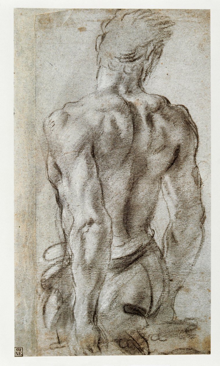 Study of a Male Figure by Annibale Carracci