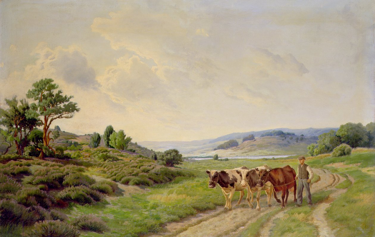 Extensive Danish Landscape with Cattle by Unbekannt Unbekannt