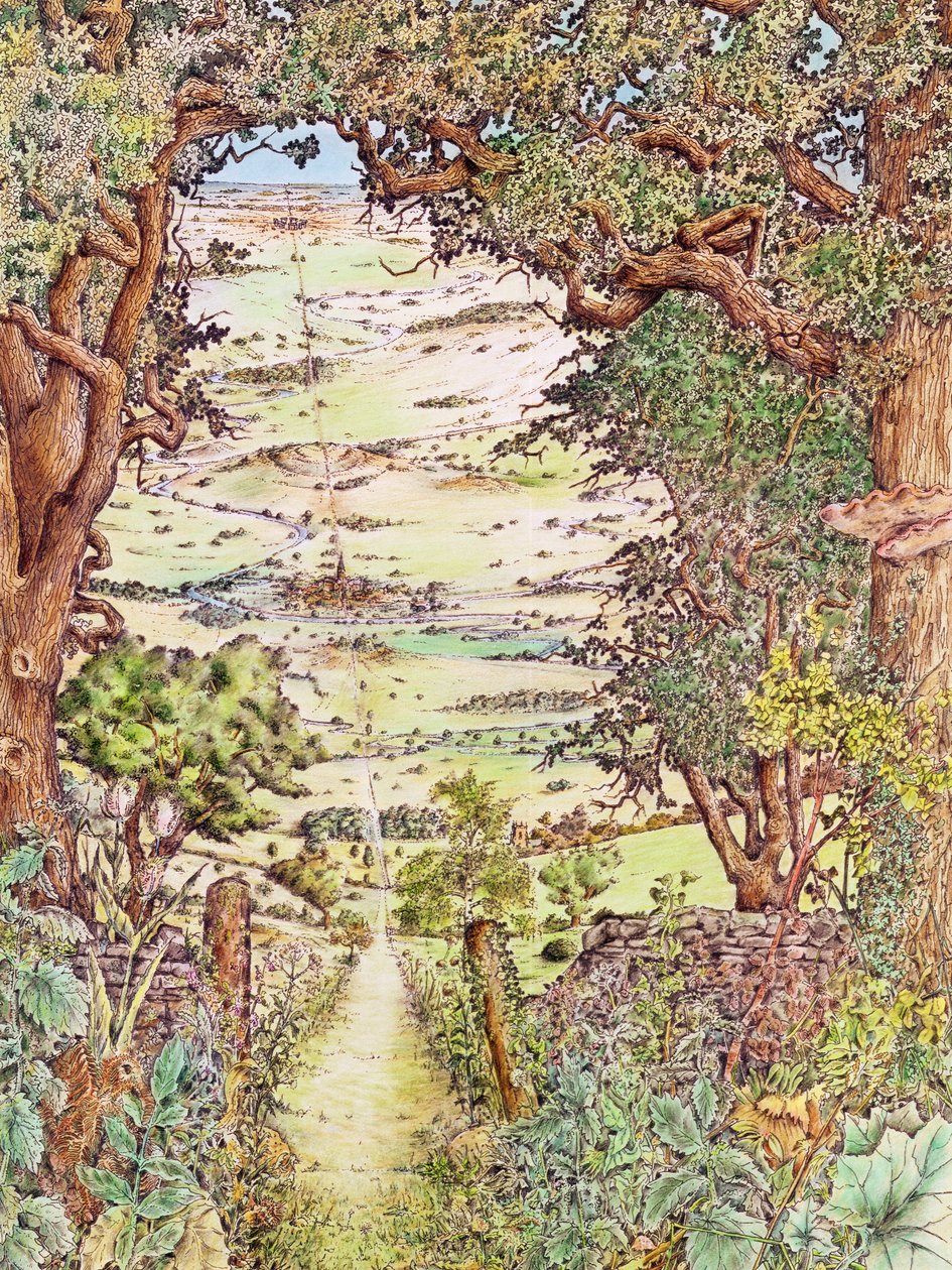 Ley-line in the English countryside by Unbekannt Unbekannt