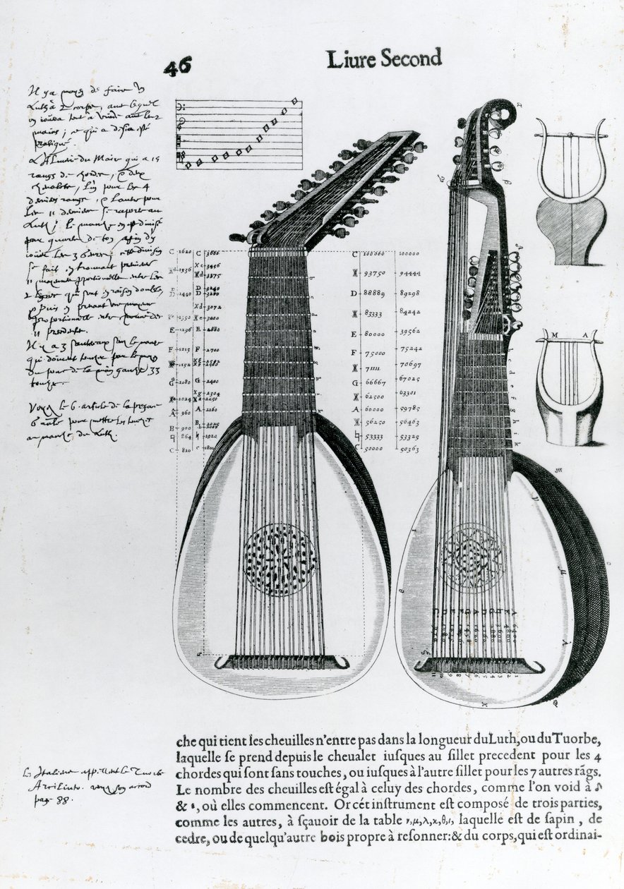 Lute, 1636 by Unbekannt Unbekannt