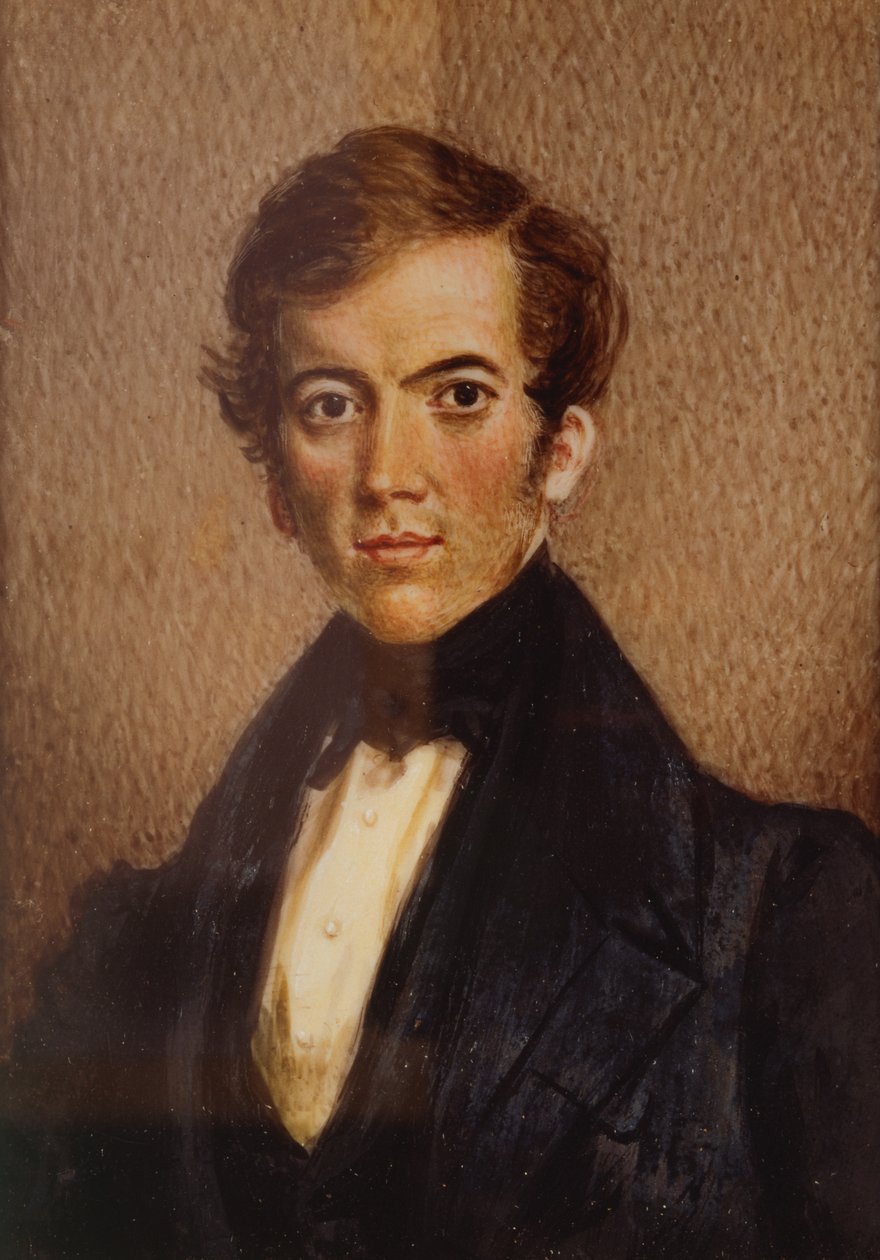 Portrait of David Livingstone by Unbekannt Unbekannt