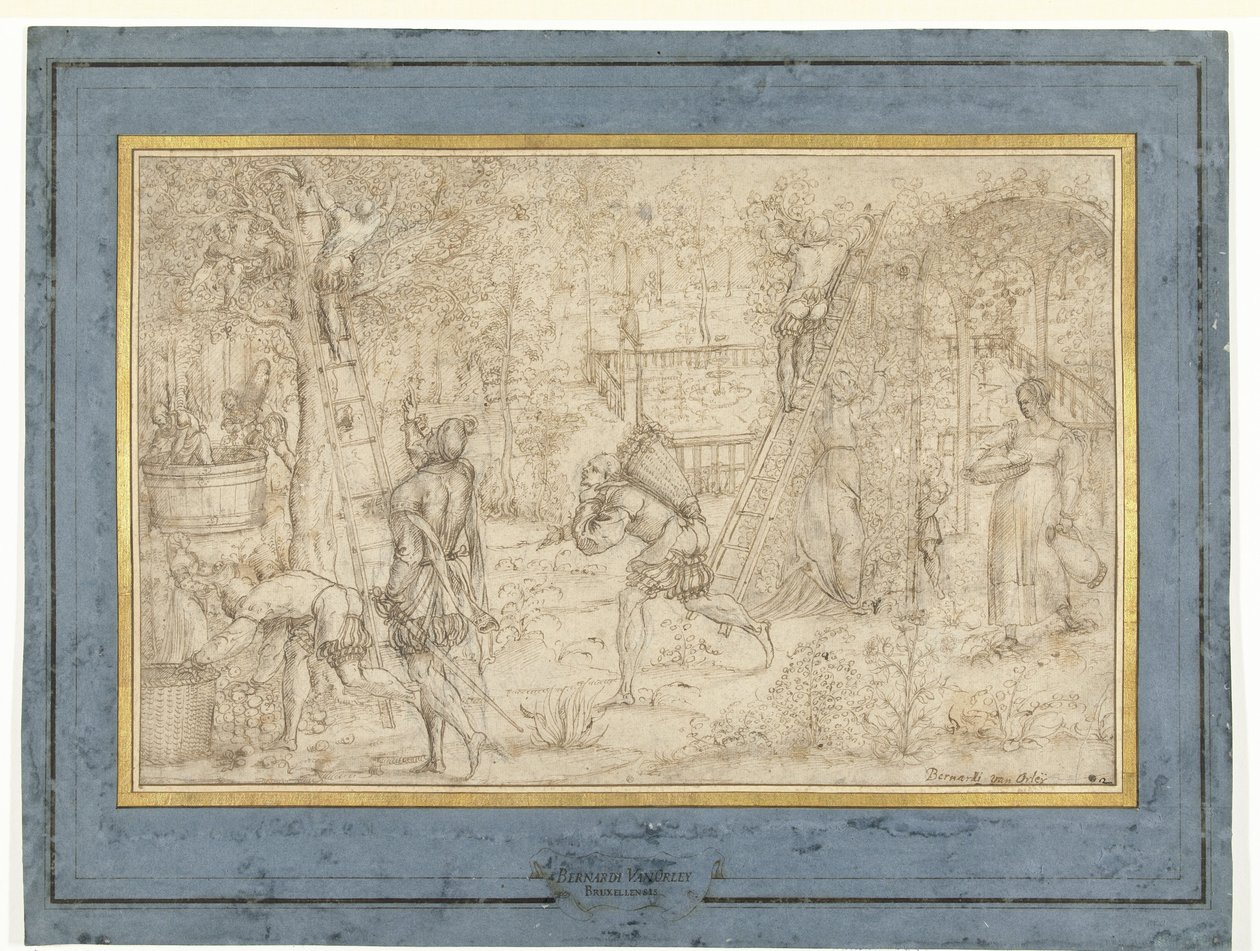 Apple Harvest and Grape Picking by Anonymous