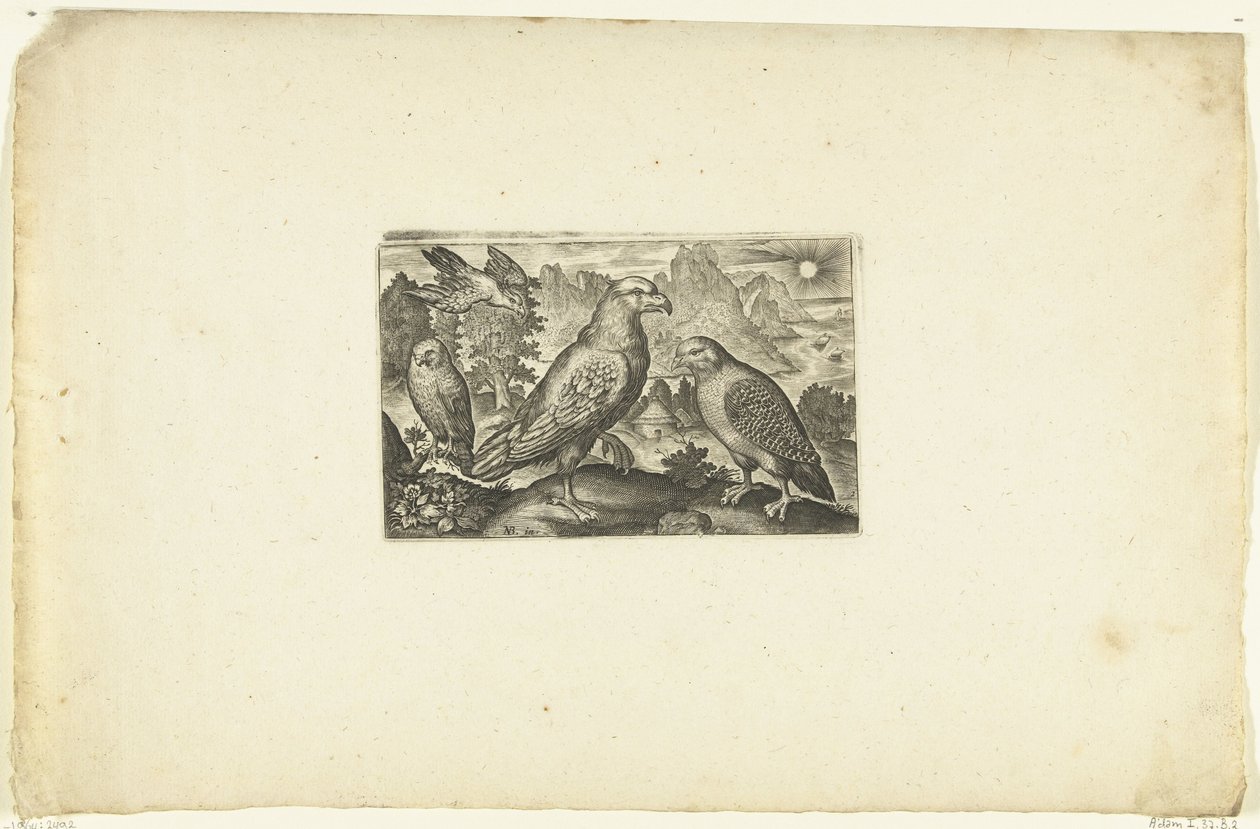 Eagle and a Partridge Volatilium varii generis (...) (series title) by Anonymous