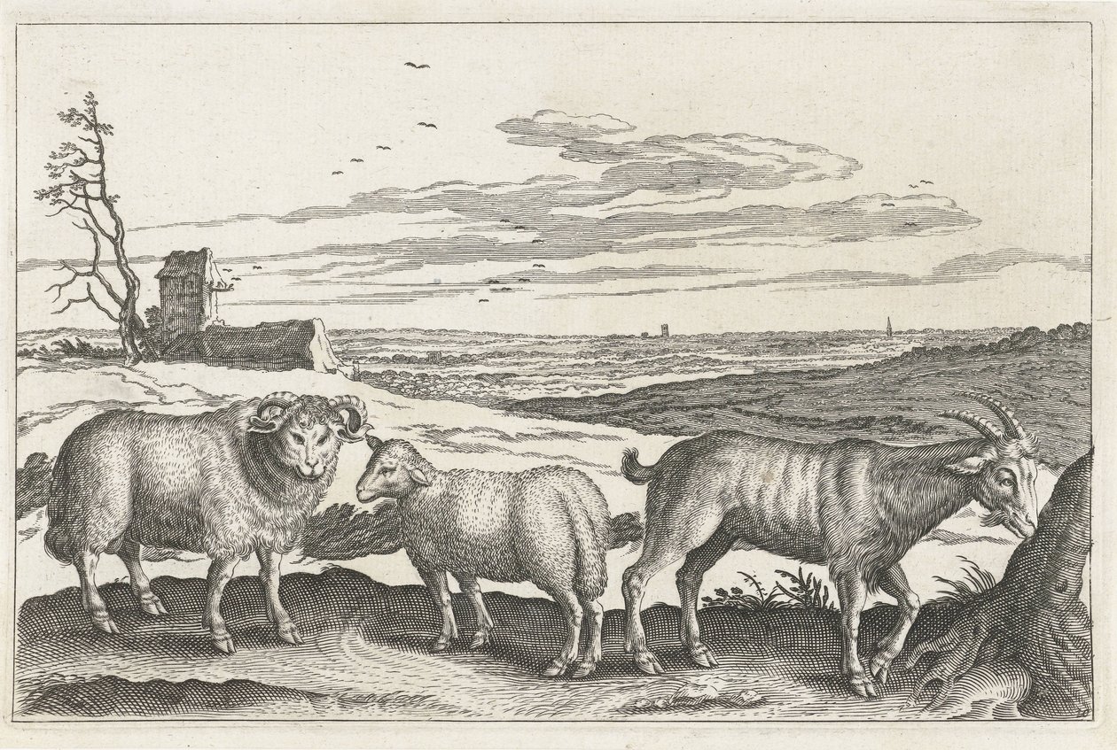 Goat and Sheep (Four-Legged Animals) by Anonymous