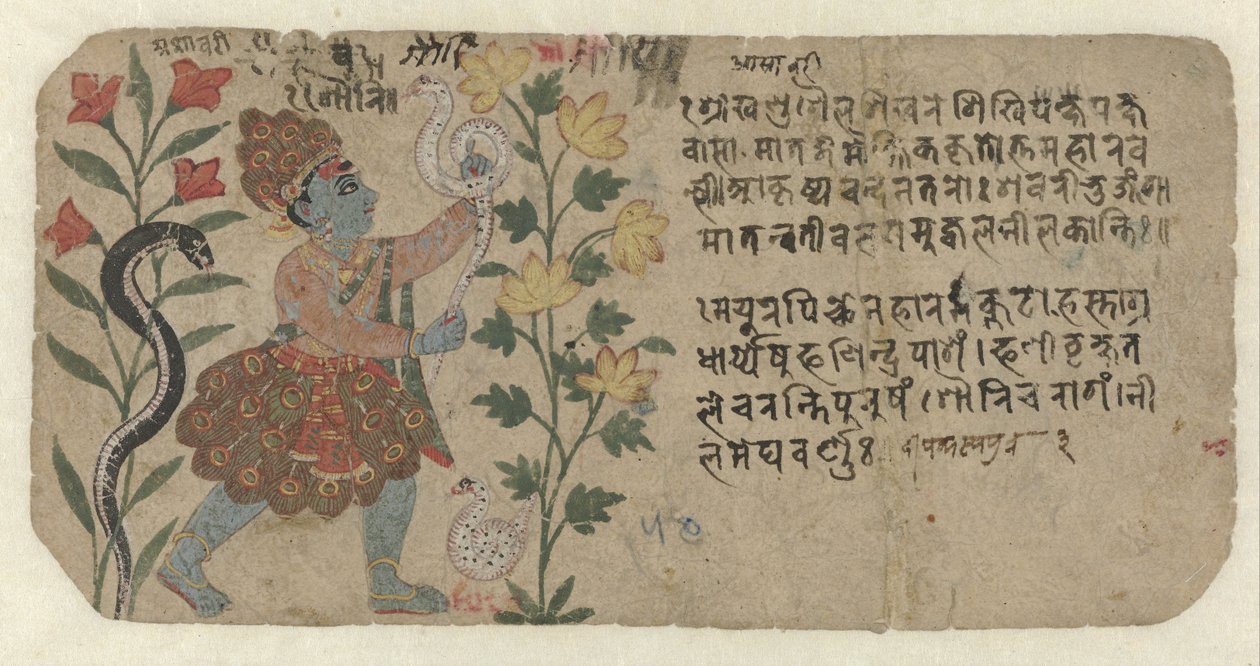 Forest Dweller with Peacock Feathers by Anonymous