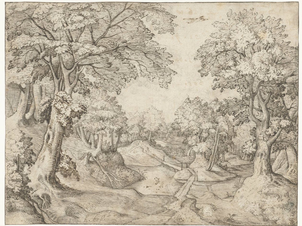 Forest Landscape with a Stream by Anonymous