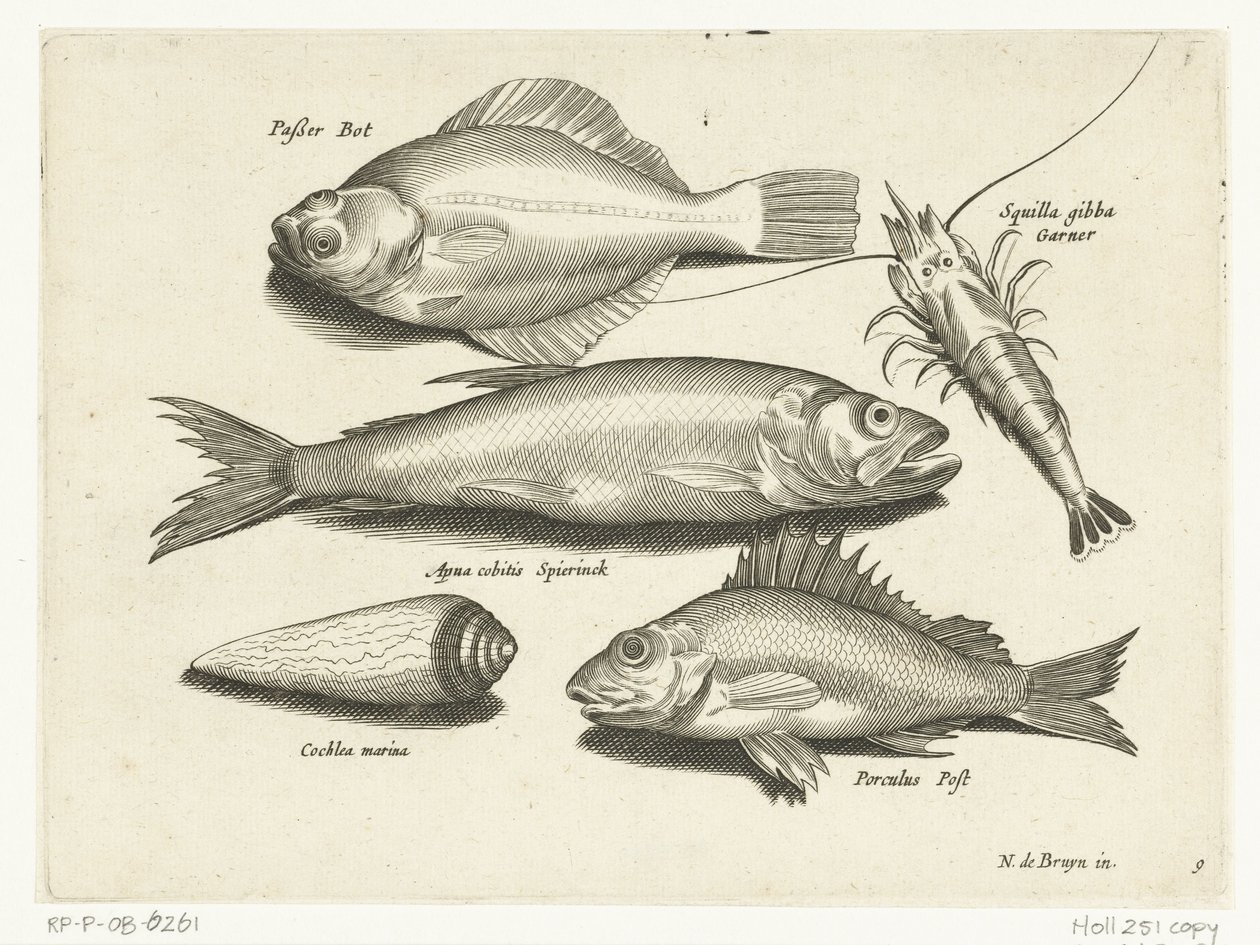 Flounder, Shrimp, Smelt, and Perch by Anonymous