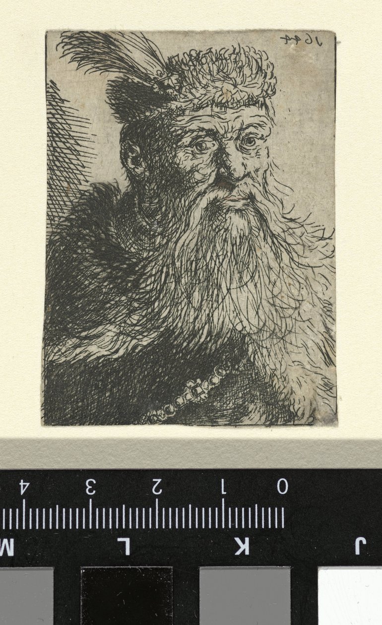 Bust of a Polish Nobleman by Anonymous