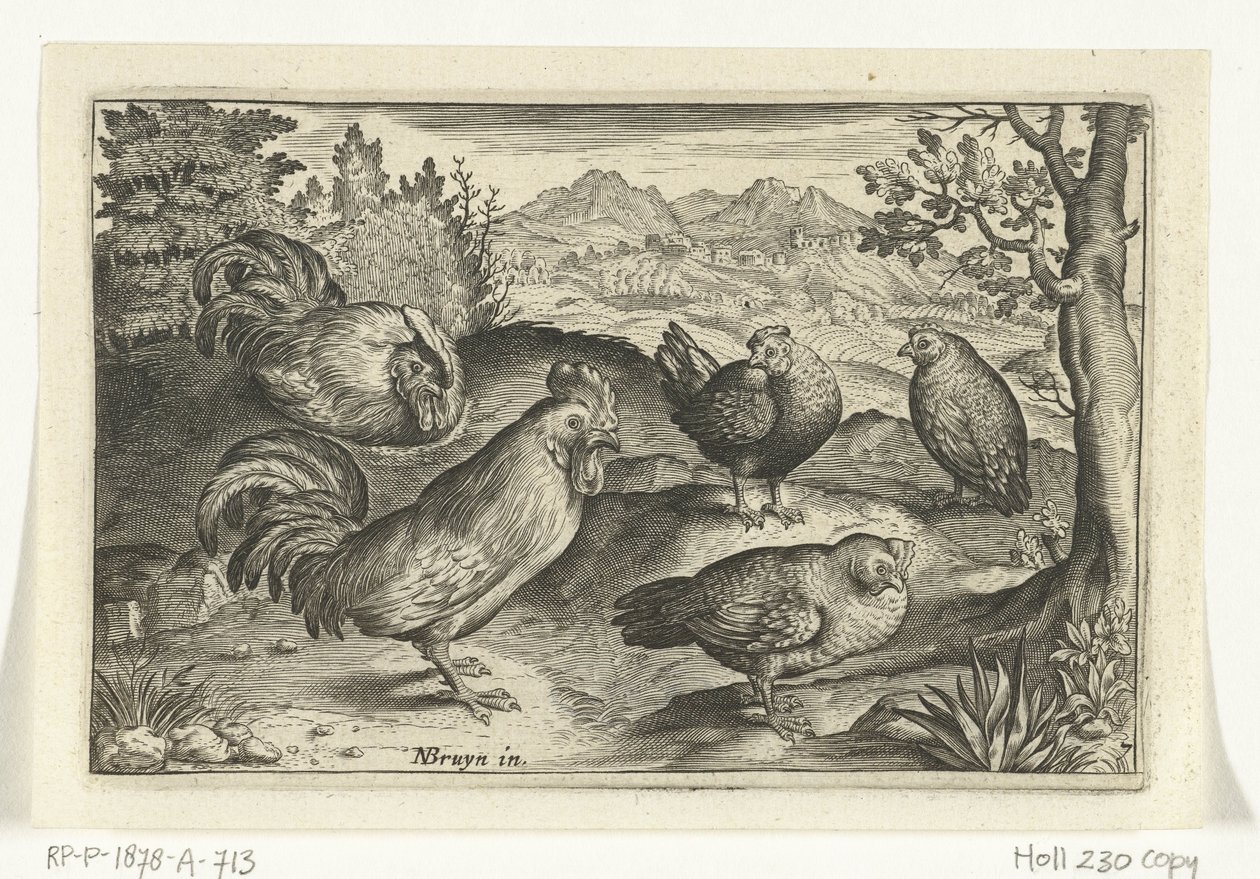 Three Hens and Two Roosters (Birds and Insects series) by Anonymous