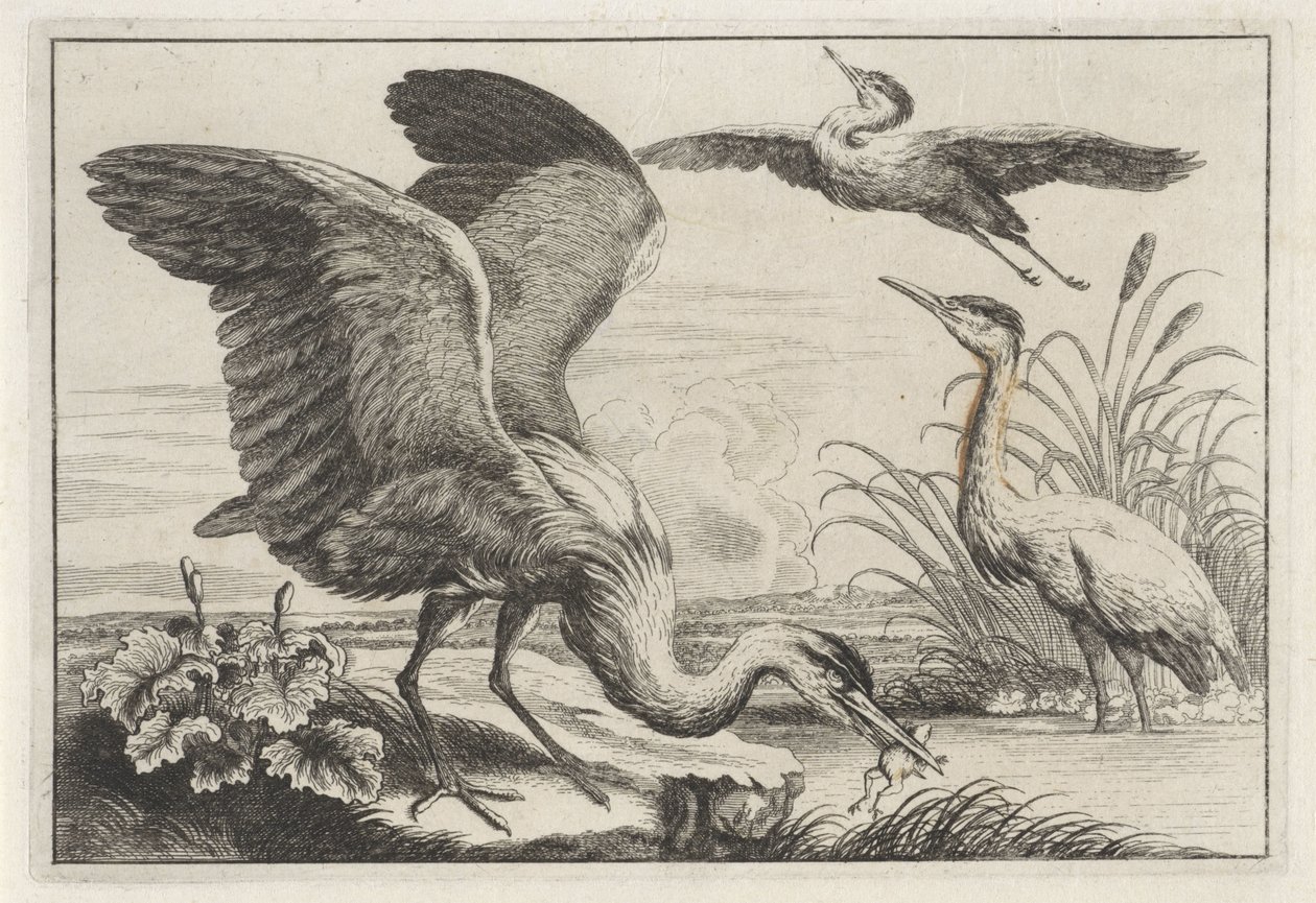 Three Herons by Anonymous