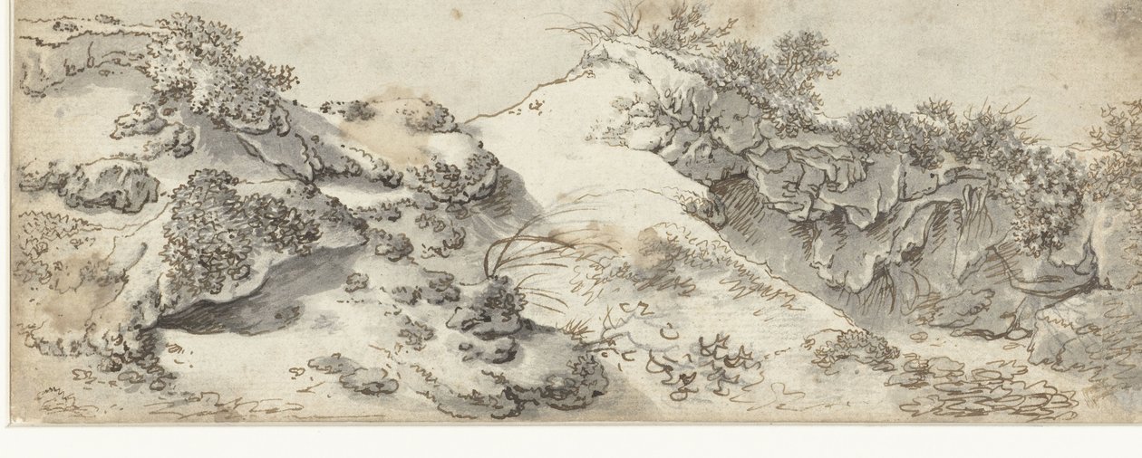 Dune Landscape by Anonymous