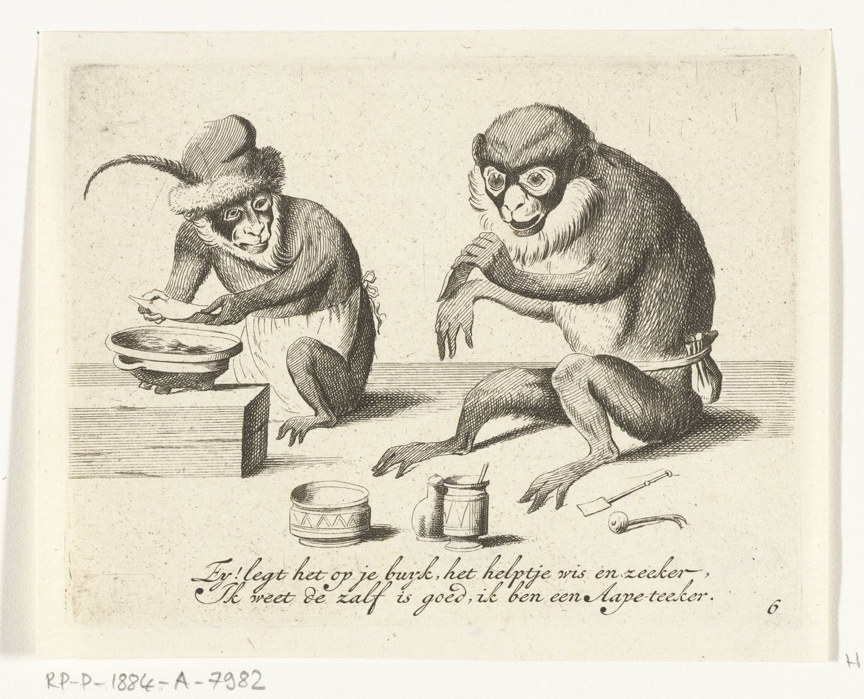 A Monkey Bandaging Another Monkey by Anonymous