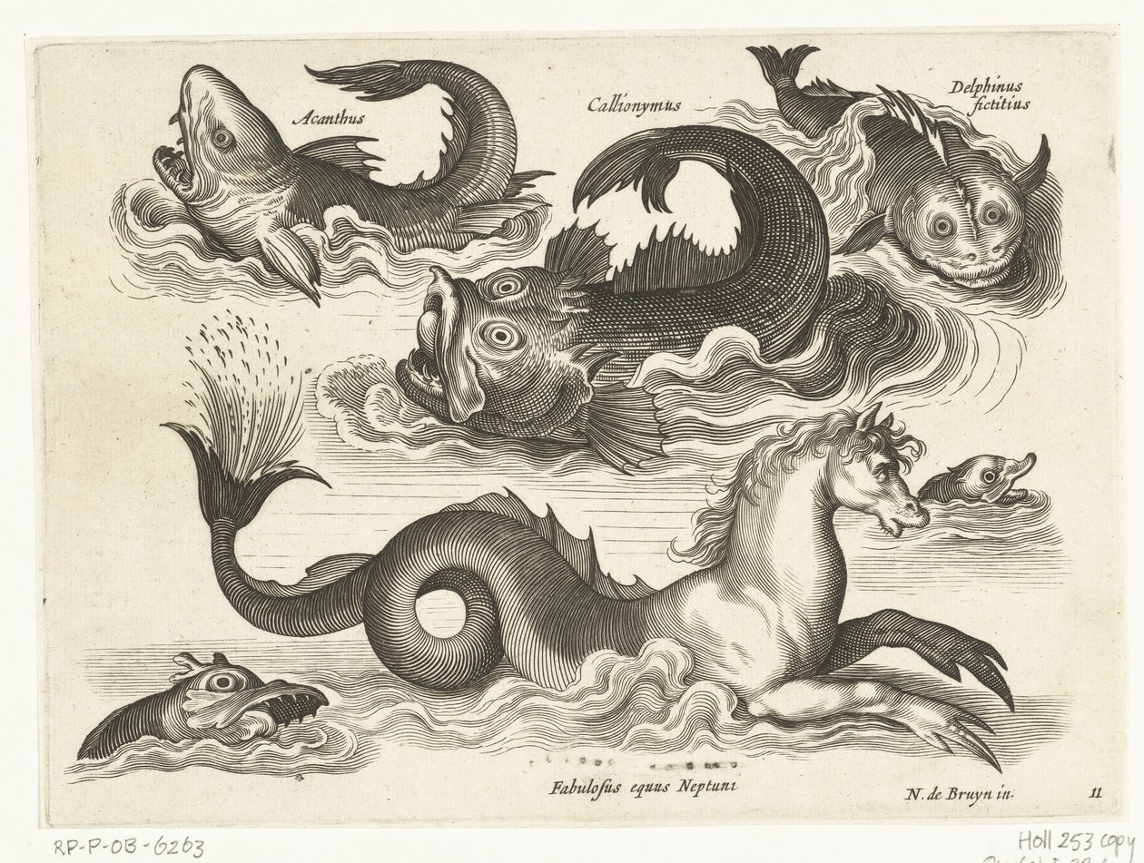 Fantastic Water Creatures, Including Seahorse by Anonymous