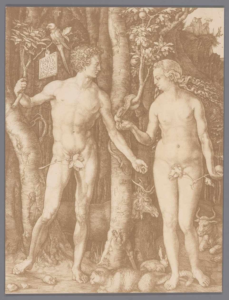 Photo Reproduction of the Engraving Adam and Eve by Albrecht Dürer by Anonymous