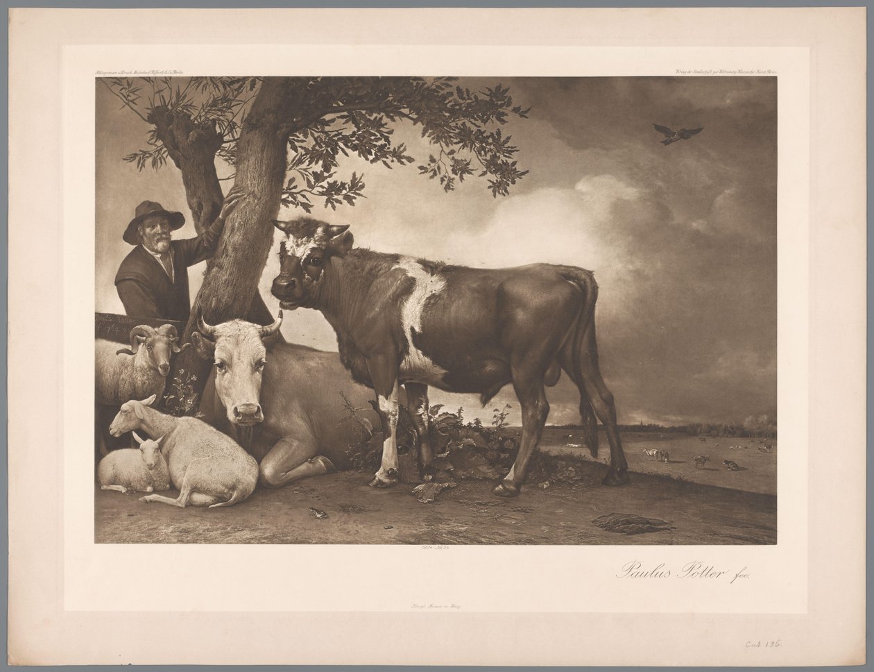 Photoreproduction of the painting The Bull by Paulus Potter, coll. Mauritshuis by Anonymous