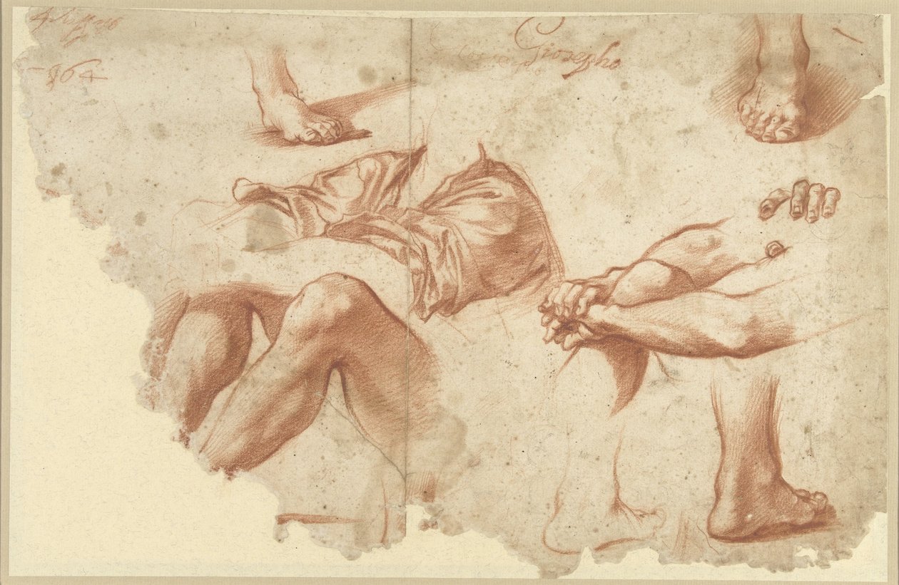 Fragment of Study Sheet with Arms, Legs, Feet by Anonymous
