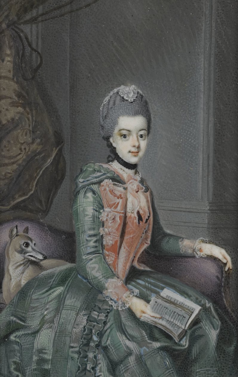 Frederika Sophia Wilhelmina (1751-1820), Princess of Prussia. Wife of Prince William V by Anonymous