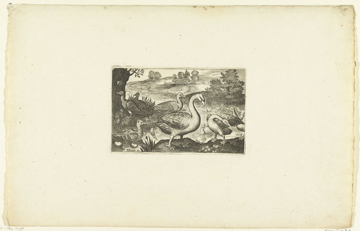 Geese and Ducks by a River (series title) by Anonymous