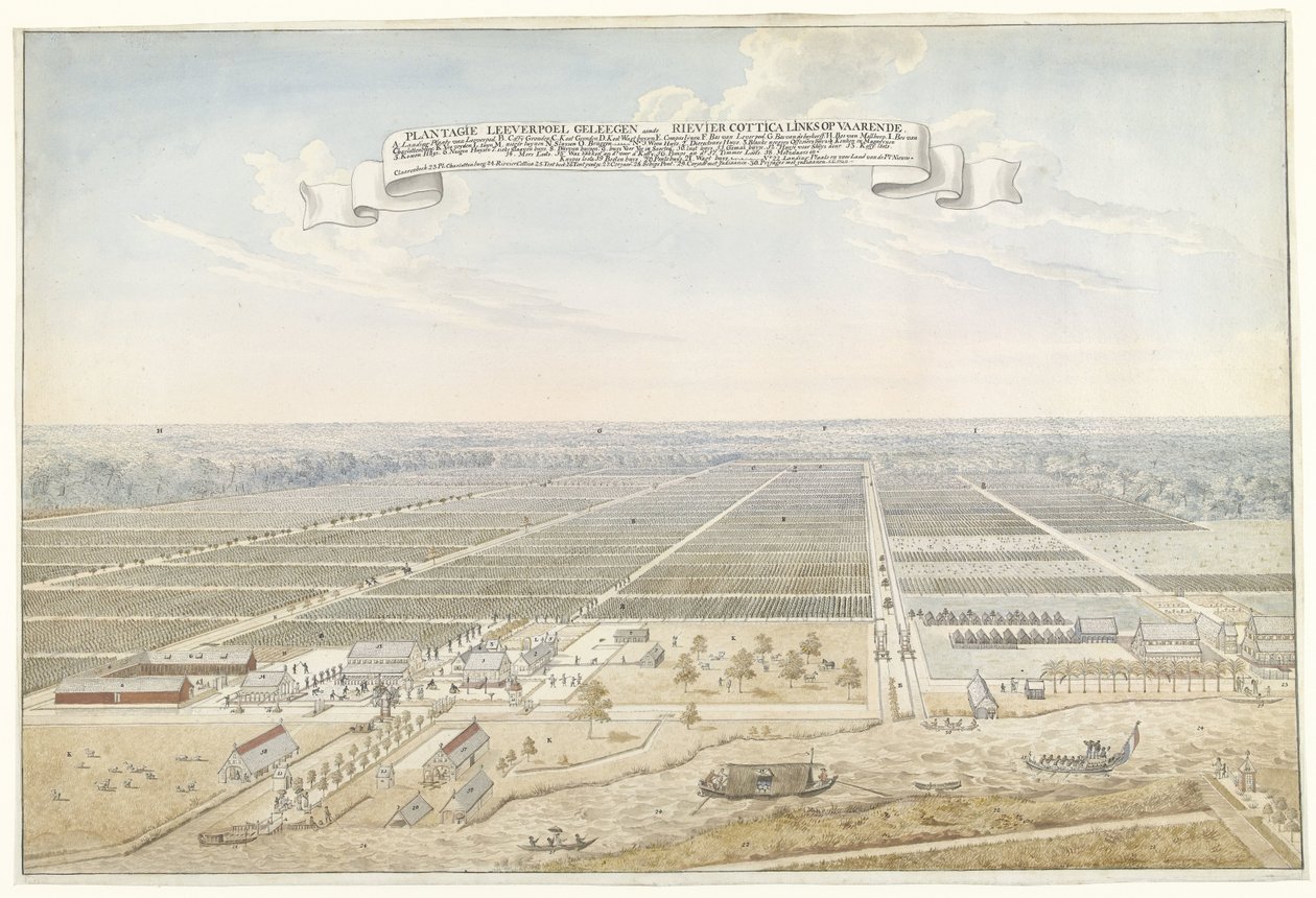 View of the Coffee Plantation Leeverpoel in Suriname by Anonymous