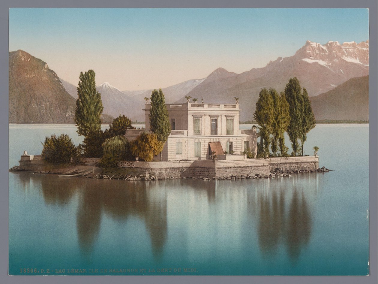 View of Île de Salagnon in Lake Geneva, with the Dents du Midi in the Background by Anonymous