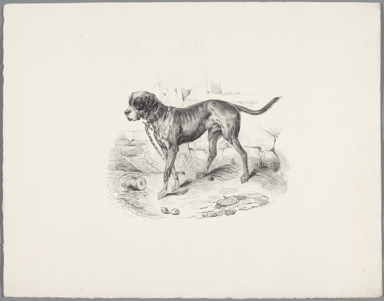 Dog on a Chain by Anonymous