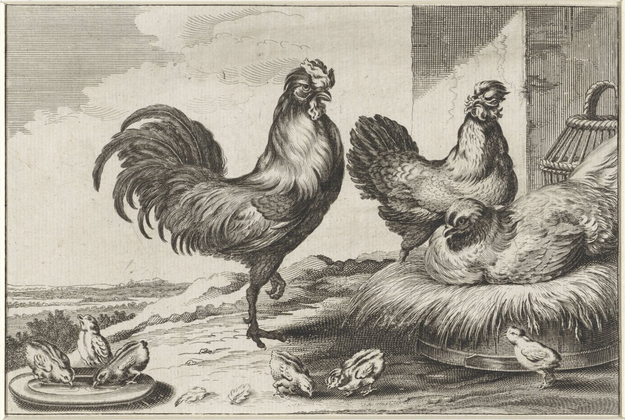 Chicken, Roosters, and Chicks by Anonymous