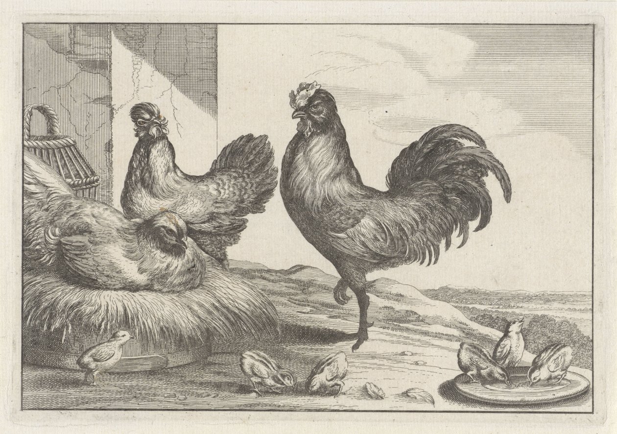 Chicken, Roosters, and Chicks by Anonymous