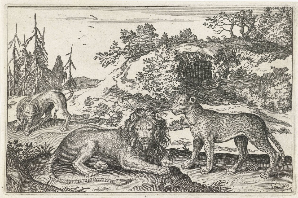 Lions and Leopard (series title) Animalivm Qvaddrvpedvm (series title) by Anonymous