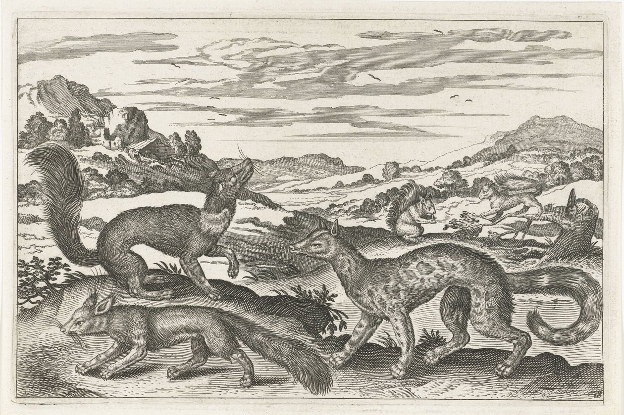 Martens, Squirrels, and a Fox (series: Four-Legged Animals, Animalivm Qvaddrvpedvm) by Anonymous
