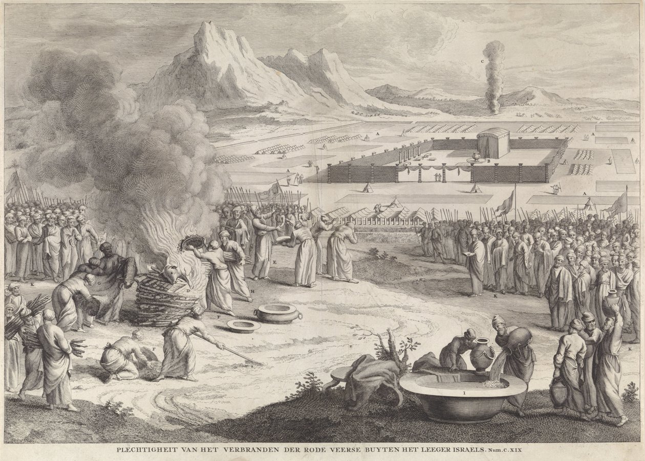 Offering of a Red Cow by the Israelites (Solemnity of Burning the Red Heifer Outside the Camp of Israel) by Anonymous