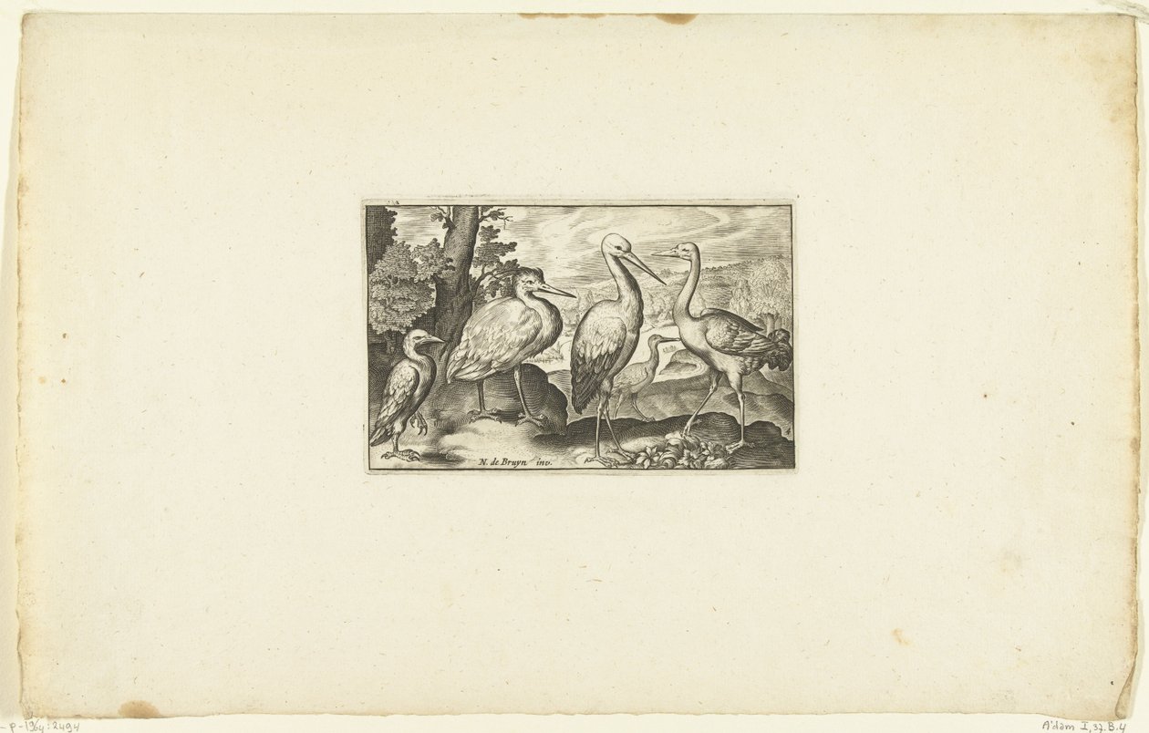 Stork Among Two Other Birds (Volatilium varii generis) by Anonymous