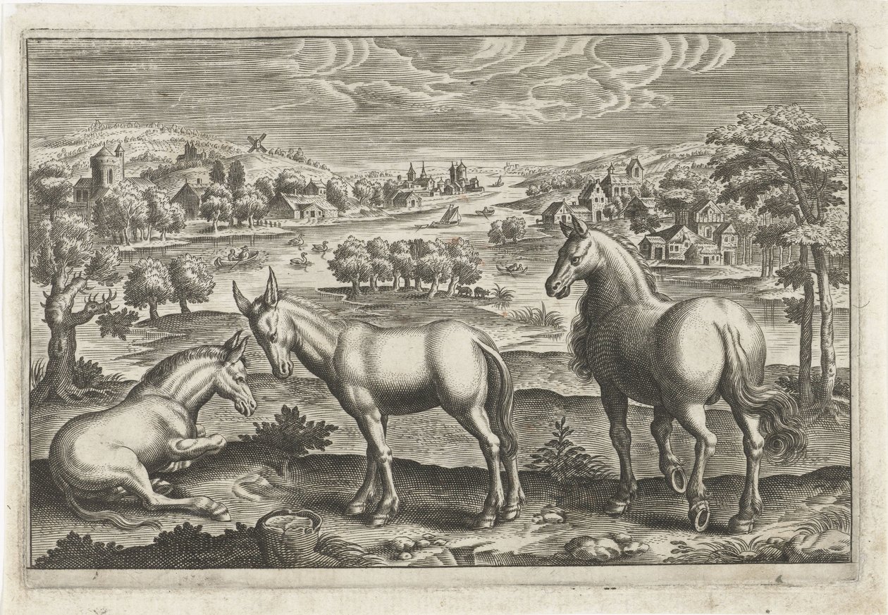 Horse and Donkeys (series title: Four-legged Animals) by Anonymous