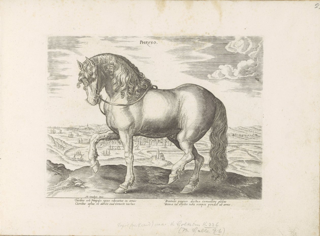Horse from Friesland by Anonymous