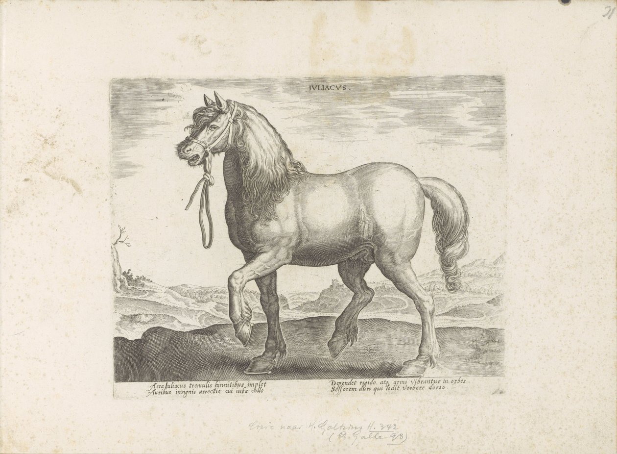 Horse from Gulik (Juliacus) by Anonymous