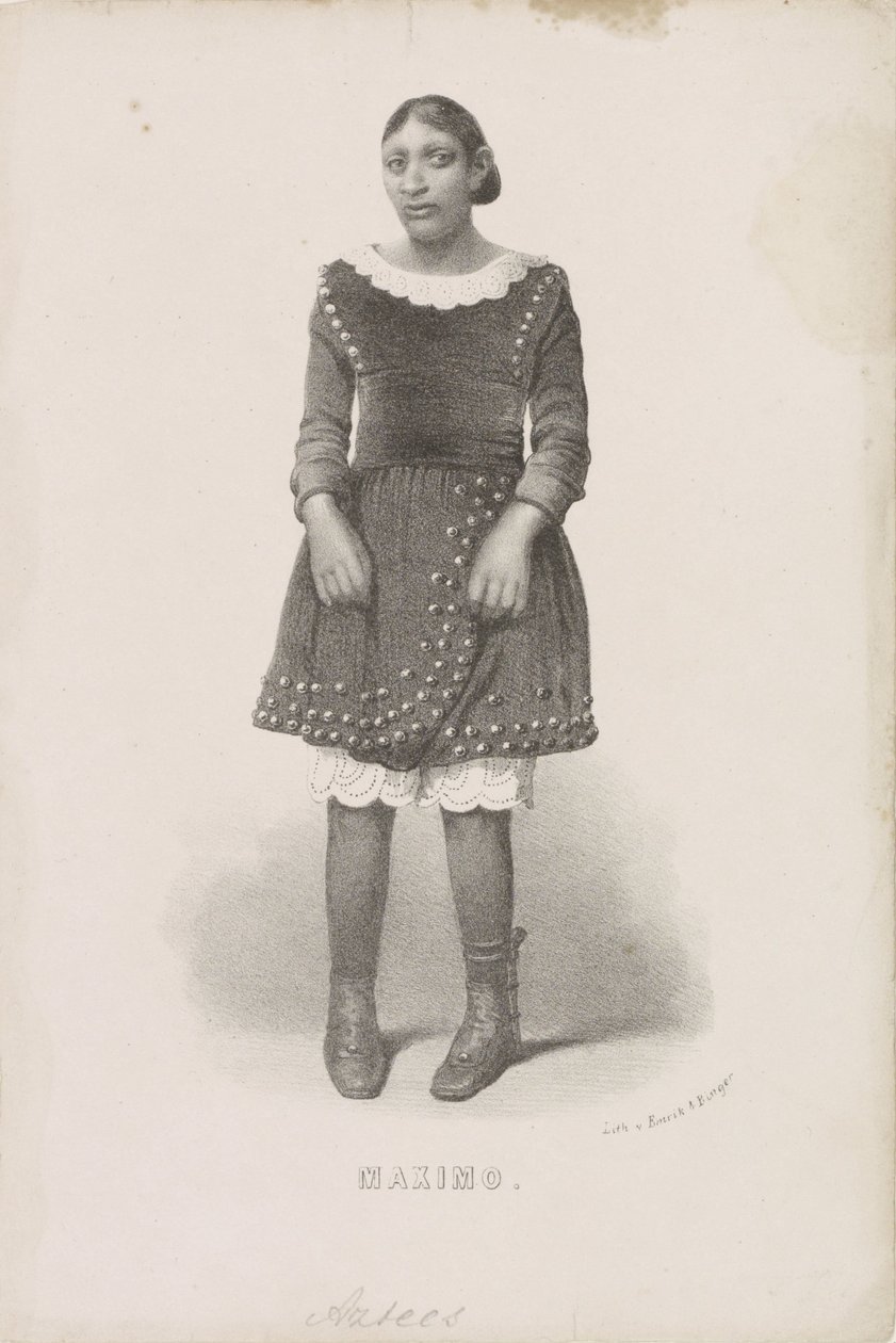 Portrait of Máximo, 1857 by Anonymous