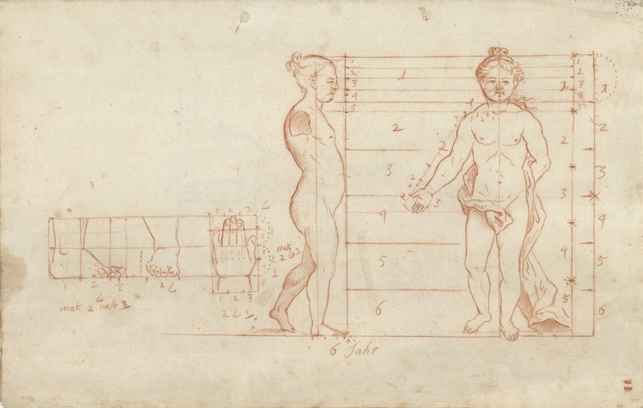 Proportion Study of a Six-Year-Old Girl by Anonymous