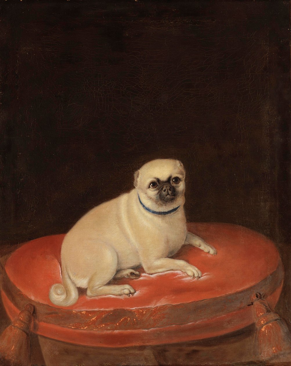 Pug by Anonymous