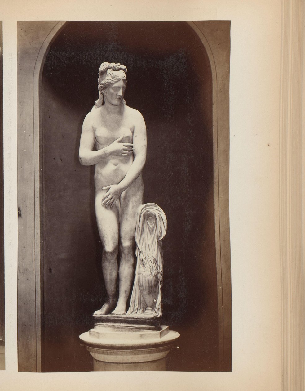 Sculpture of Venus in the Capitoline Museums in Rome, Italy by Anonymous