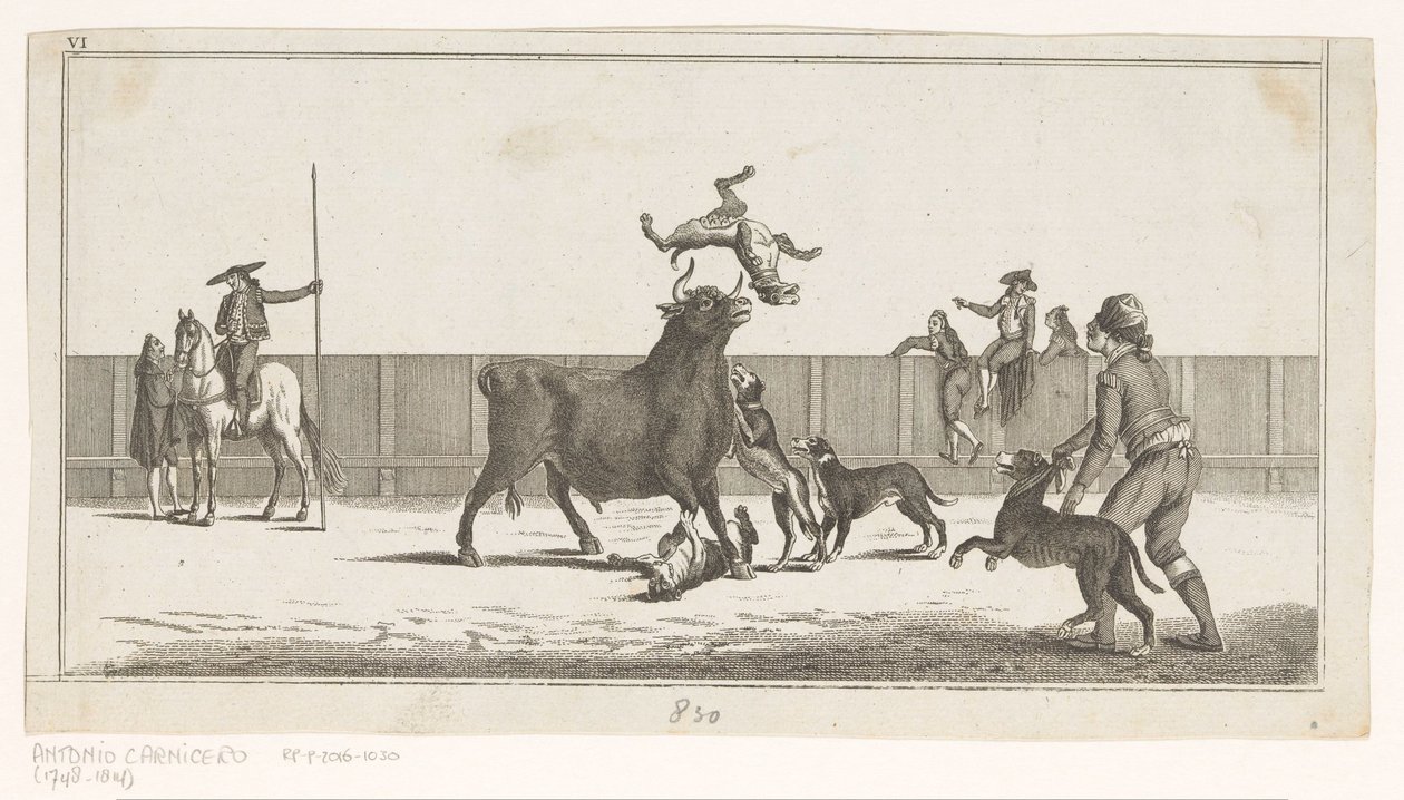 Bull Attacked by Dogs by Anonymous