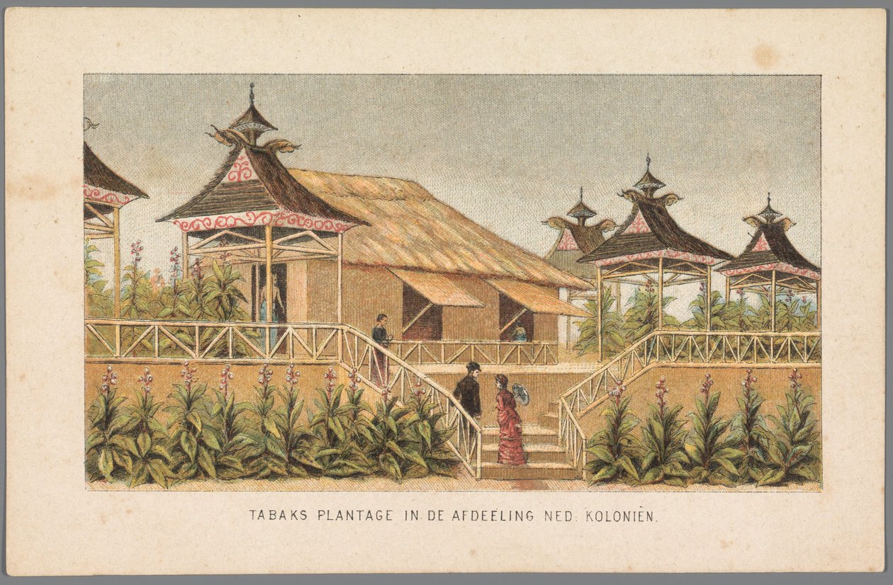 Tobacco Plantation of the Dutch Colonies at the World Exhibition in Amsterdam, 1883 by Anonymous