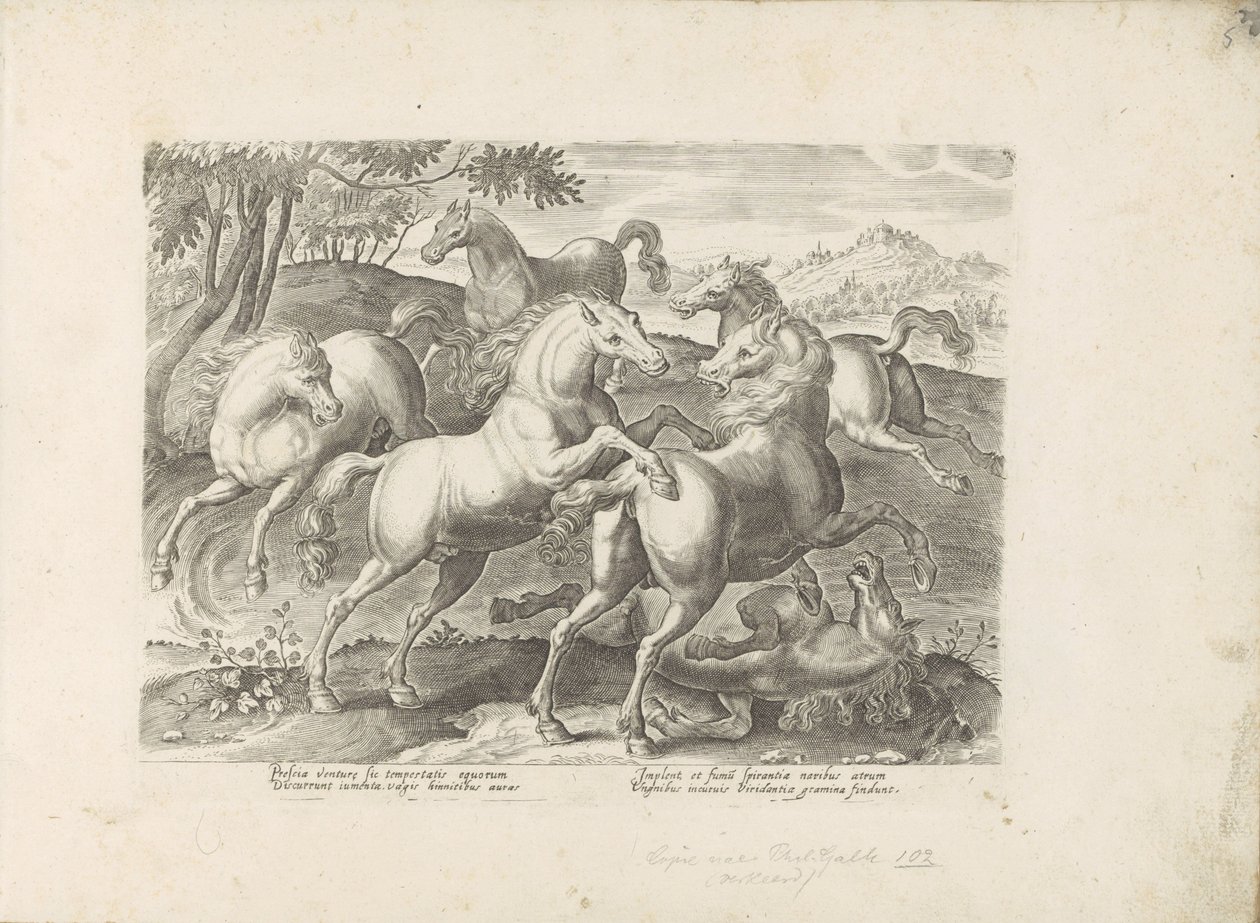 Fighting horses with a trampled horse by Anonymous