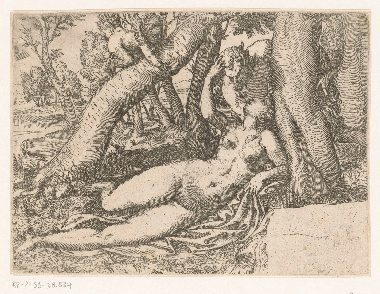 Venus Awakened by a Satyr by Anonymous