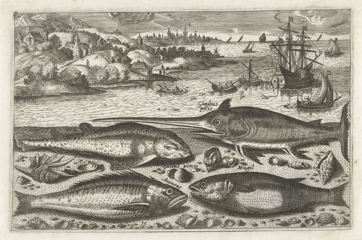Four fish on the beach (Fish series) by Anonymous