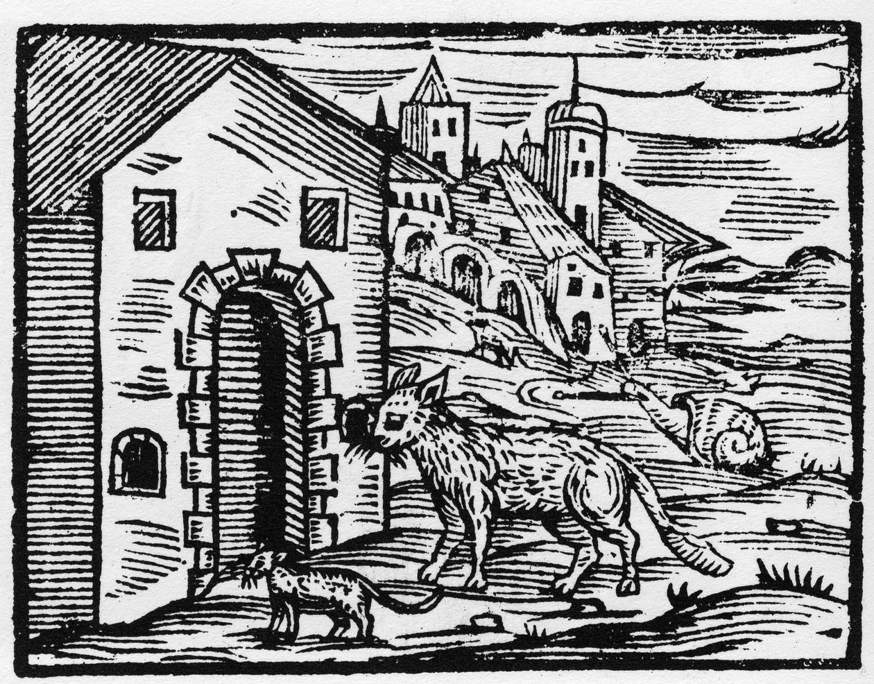 Devil and witch changes into wolf and cat - 