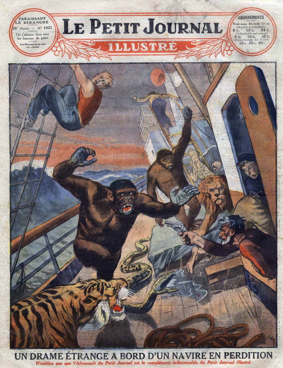 Drama about the French Liner “Saint Etienne”: Gorillas, Tiger, Lion and Snake Destined for English Zoological Gardens Escaped from Their Cage and Attacked the Crew Members. Engraving. One of “The Little Journal Illustrates” by Anonymous Anonymous