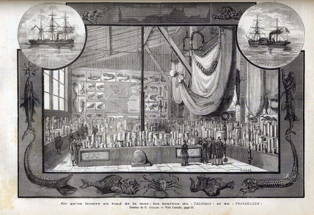 Exhibition at the Museum of Natural History of Paris of the collections formed during the cruises - Scientific expeditions of the Worker and the Talisman during the years 1880 by Anonymous Anonymous