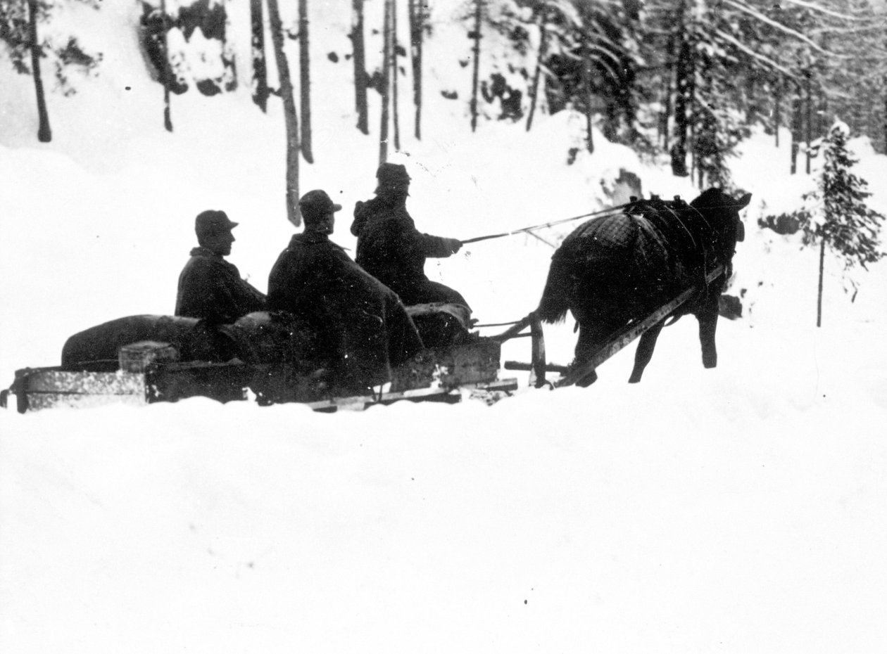 First World War, Carso Front: Italian alpine hunters carrying food on sledges by Anonymous Anonymous