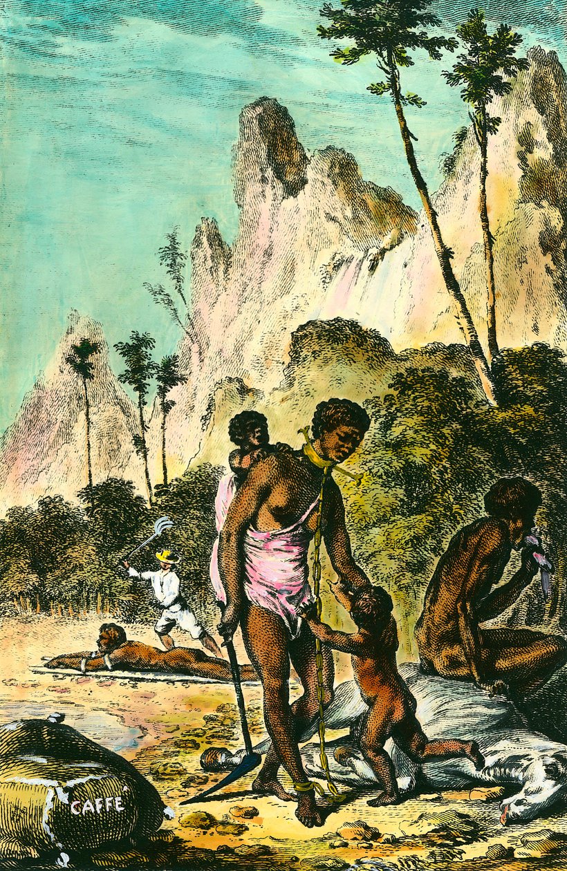 Journey to the Ile de France (present-day Mauritius): The Work of Slaves. Engraving of the 18th century. Private collection by Anonymous Anonymous