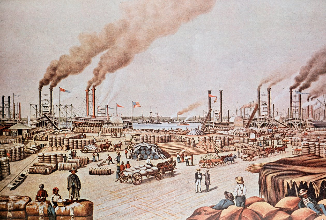 New Orleans Harbour Wharf: Cotton Loading by Anonymous Anonymous
